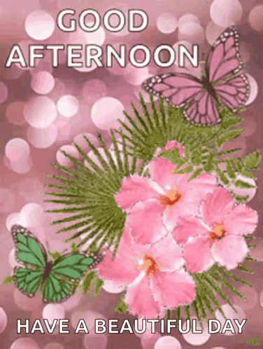 A Picture Of Pink Flowers And Butterflies With The Words `` Good Afternoon Have A Beautiful Day '' GIF