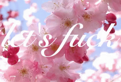 A Picture Of Pink Flowers With The Words Let 'S Fuck On It GIF