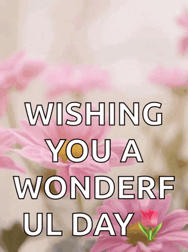 Pink Flowers Wishing You Wonderful Day GIF