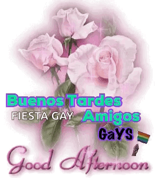 A Picture Of Pink Roses With The Words Buenos Tardes Fiesta Gay Amigos Gays Good Afternoon GIF
