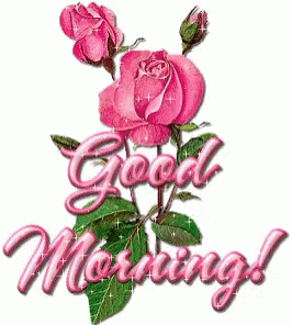 A Picture Of Pink Roses With The Words Good Morning On It GIF