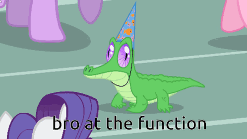 A Picture Of Ponies With The Words Bro At The Function GIF