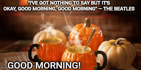 A Picture Of Pumpkins And Cups Of Coffee With The Words " I 'Ve Got Nothing To Say But It 'S Okay " GIF