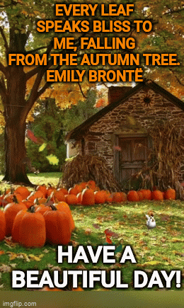 A Picture Of Pumpkins With A Quote From Emily Bronte GIF