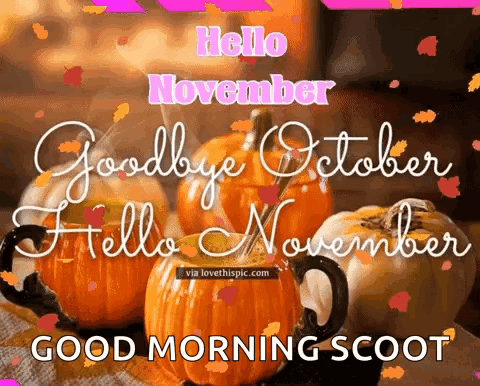 A Picture Of Pumpkins With The Words `` Hello November Good Morning Scoot '' Written On It . GIF