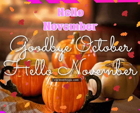 A Picture Of Pumpkins With The Words Hello November GIF