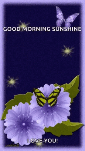 A Picture Of Purple Flowers And Butterflies With The Words Good Morning Sunshine GIF