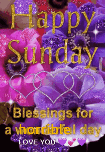 A Picture Of Purple Flowers With The Words Happy Sunday Blessings For A Horrible Day Love You GIF