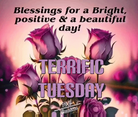A Picture Of Purple Roses With The Words Blessings For A Bright Positive And Beautiful Day Terrific Tuesday GIF