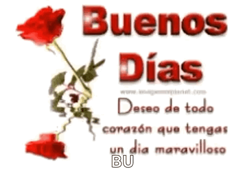 A Picture Of Red Roses With The Words Buenos Dias GIF