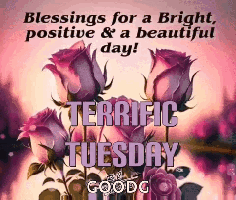 A Picture Of Roses With The Words `` Blessings For A Bright , Positive And A Beautiful Day ! '' GIF