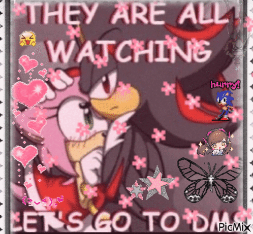 A Picture Of Shadow The Hedgehog And Amy Rose With The Caption " They Are All Watching Let 'S Go To Day " GIF