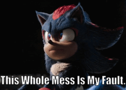 A Picture Of Shadow The Hedgehog From Sonic The Hedgehog With The Caption This Whole Mess Is My Fault GIF