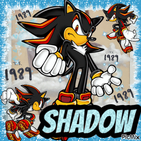 A Picture Of Shadow The Hedgehog From The Video Game Sonic GIF