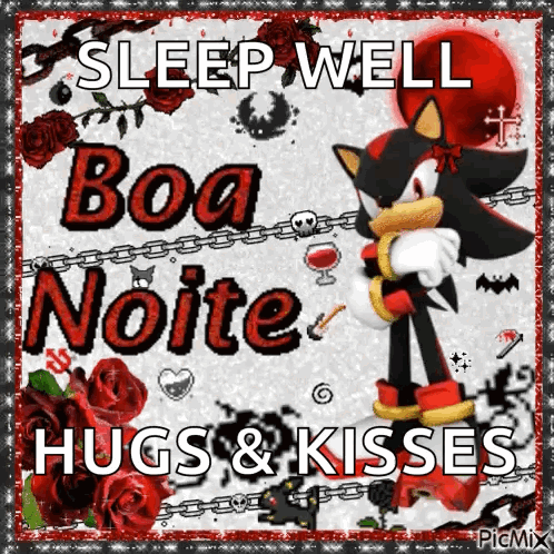 A Picture Of Shadow The Hedgehog Saying Sleep Well Boa Noite GIF