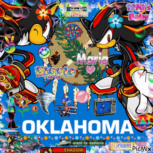 A Picture Of Shadow The Hedgehog With Oklahoma On The Bottom GIF