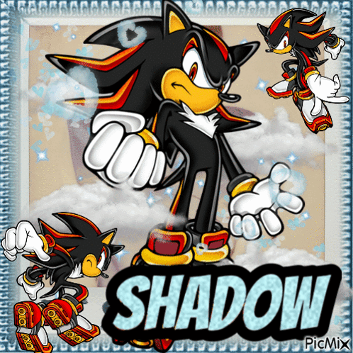 Shadow The Hedgehog With Name Shadow GIF
