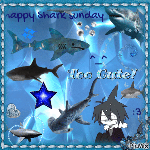 A Picture Of Sharks And The Words Happy Shark Sunday GIF