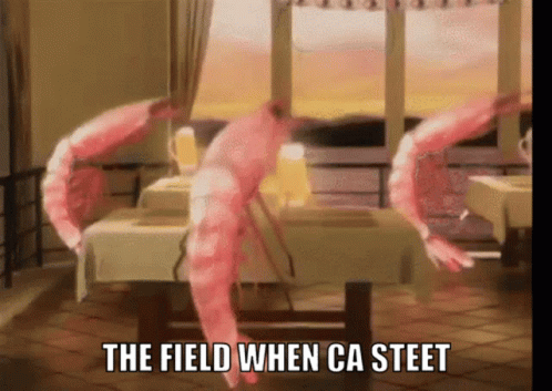 A Picture Of Shrimp On A Table With A Caption That Says The Field When Ca Steet GIF