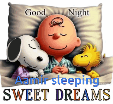 A Picture Of Snoopy And Charlie Brown Sleeping With The Words " Good Night Amir Sleeping Sweet Dreams " GIF