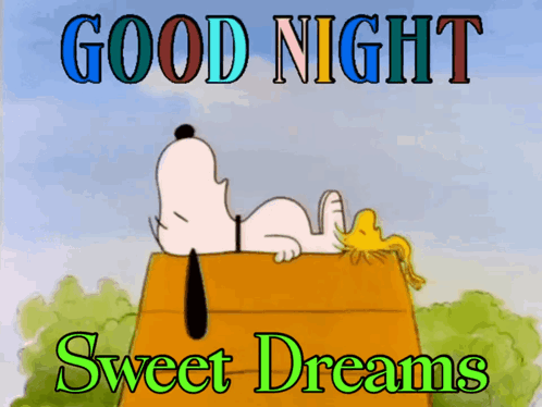 A Picture Of Snoopy And Woodstock Saying Good Night GIF