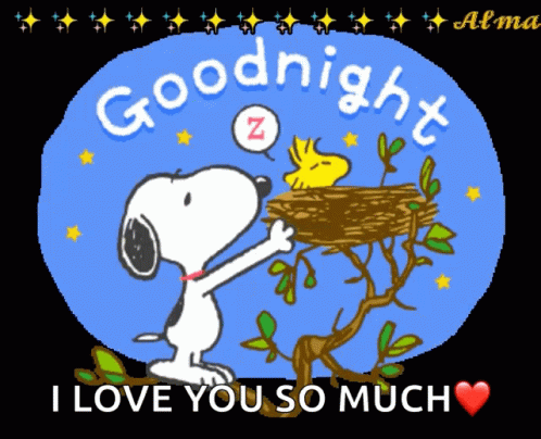 A Picture Of Snoopy And Woodstock Saying Goodnight I Love You So Much GIF