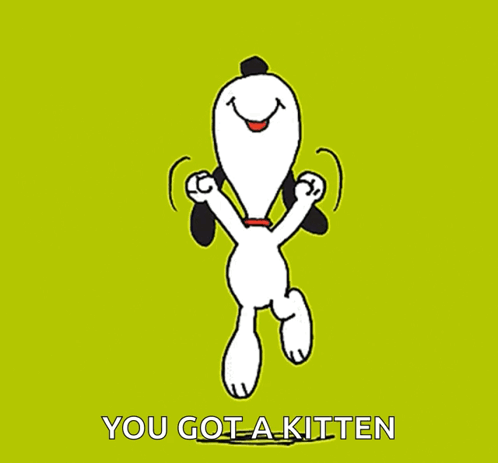 A Picture Of Snoopy Dancing With The Words " You Got A Kitten " Below Him GIF