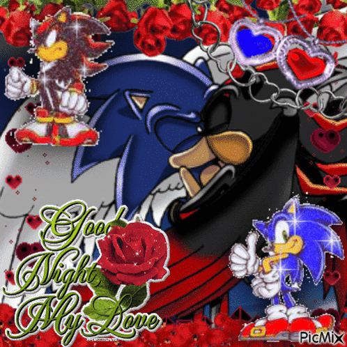 A Picture Of Sonic The Hedgehog And Shadow The Hedgehog With The Words Good Night My Love GIF