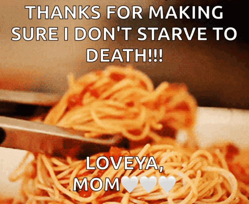 A Picture Of Spaghetti With A Caption That Says Thanks For Making Sure I Don 'T Starve To Death GIF