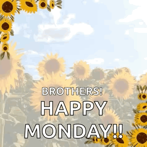 A Picture Of Sunflowers With The Words `` Brothers Happy Monday '' Written On It . GIF