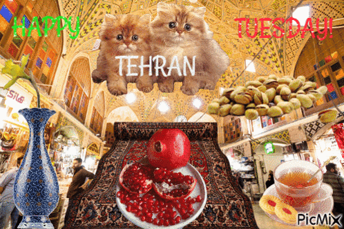 A Picture Of Tehran With Two Cats And A Plate Of Pomegranate Seeds GIF