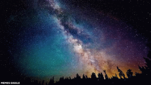 A Picture Of The Milky Way Galaxy With Trees In The Foreground GIF