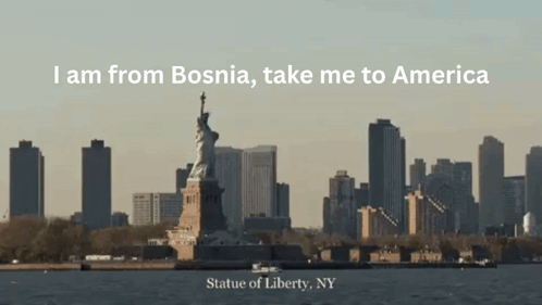 a picture of the statue of liberty in new york city