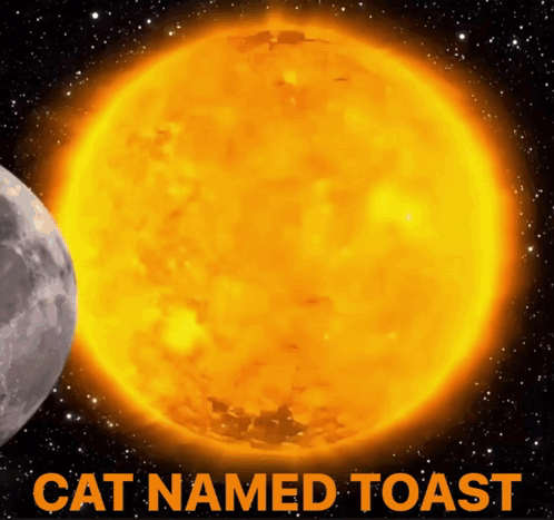 A Picture Of The Sun With The Words Cat Named Toast GIF