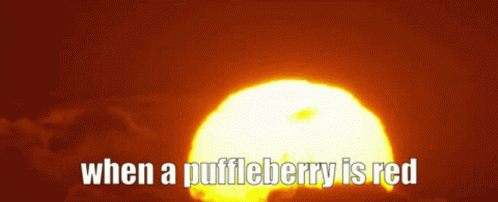 A Picture Of The Sun With The Words " When A Puffleberry Is Red " GIF