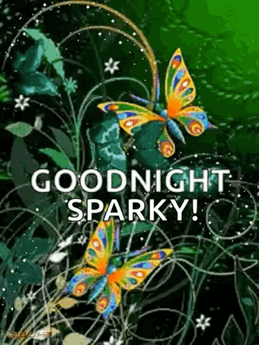 a picture of three butterflies with the words goodnight sparky