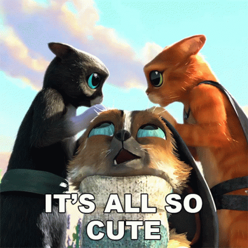 A Picture Of Three Cats With The Words It 'S All So Cute Above Them GIF