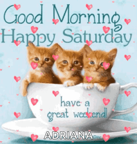 A Picture Of Three Kittens In A Cup That Says " Good Morning Happy Saturday " GIF