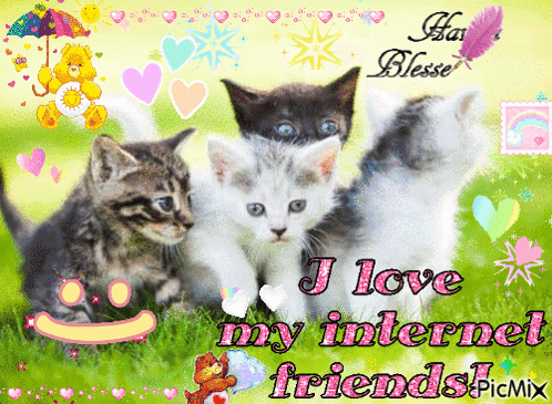 A Picture Of Three Kittens With The Words " I Love My Internet Friends " GIF