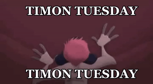 a picture of timon from the lion king with the words timon tuesday