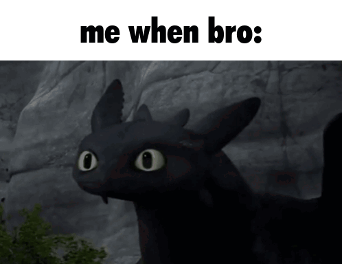 A Picture Of Toothless From How To Train Your Dragon Says Me When Bro GIF