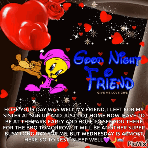 A Picture Of Tweety And A Teddy Bear With The Words Good Night Friend GIF