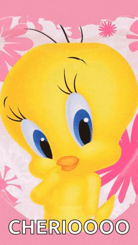 A Picture Of Tweety On A Pink Background With Cherioooo GIF