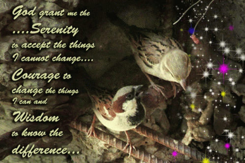 A Picture Of Two Birds And A Quote That Says God Grant Me The Serenity To Accept The Things I Cannot Change GIF