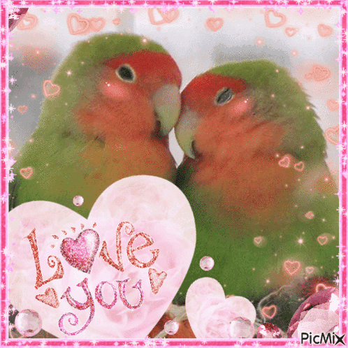 A Picture Of Two Birds Kissing With A Heart That Says Love You GIF