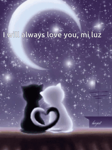 A Picture Of Two Cats With The Words " I Will Always Love You Mi Luz " On The Bottom GIF