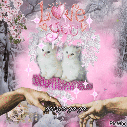 A Picture Of Two Cats With The Words Love You GIF
