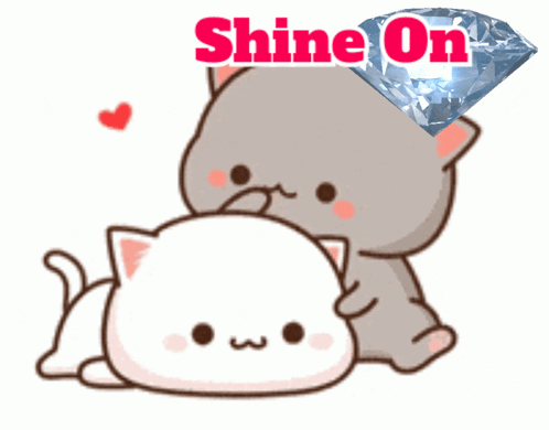 A Picture Of Two Cats With The Words Shine On Written Above Them GIF