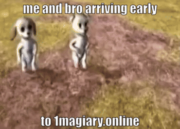 A Picture Of Two Dogs With The Caption " Me And Bro Arriving Early To 1Magiary Online " GIF