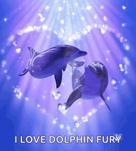A Picture Of Two Dolphins With The Words I Love Dolphin Fury GIF
